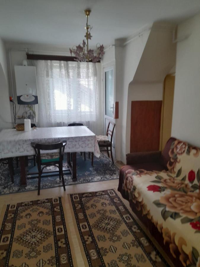 Apartament Retro-Relax Sinaia Extérieur photo
